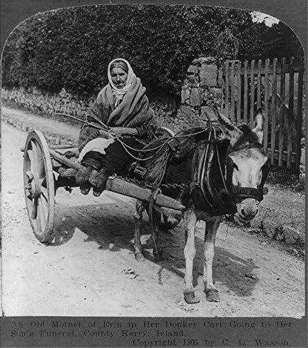HistoricalFindings Fotoğraf: Erin'in Yaşlı Annesi,Oğlunun Cenazesine Giden Eşek arabası, County Kerry, İrlanda