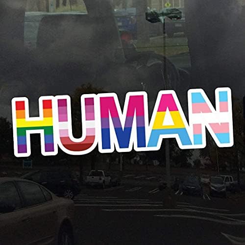 70 Paket İnsan LGBT Bayrakları Gökkuşağı Lezbiyen Biseksüel Panseksüel Transseksüel Vinil süslü çıkartmalar 3 inç