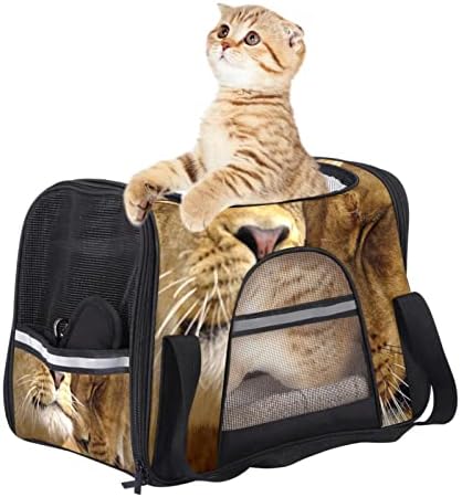 Evcil hayvan taşıyıcı, Yumuşak Taraflı Konfor Taşınabilir Katlanabilir Seyahat evcil hayvan çantası, Aslan Hayvan