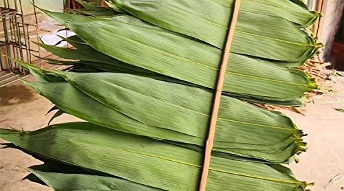 Tabaklar Süslemeleri Suşi Bazuka Makinesi Seti Doğal Kurutulmuş Bambu Yaprakları Yapmak için Tüm Zongzi pirinç köfte【Artı