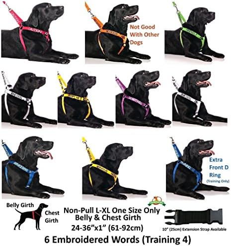 DOSTU Yeşil Renk Kodlu L-XXL Yarı Boğucu Köpek Tasması (Dostu Olarak Bilinir), Köpeğinizin Başkalarını Önceden Uyararak